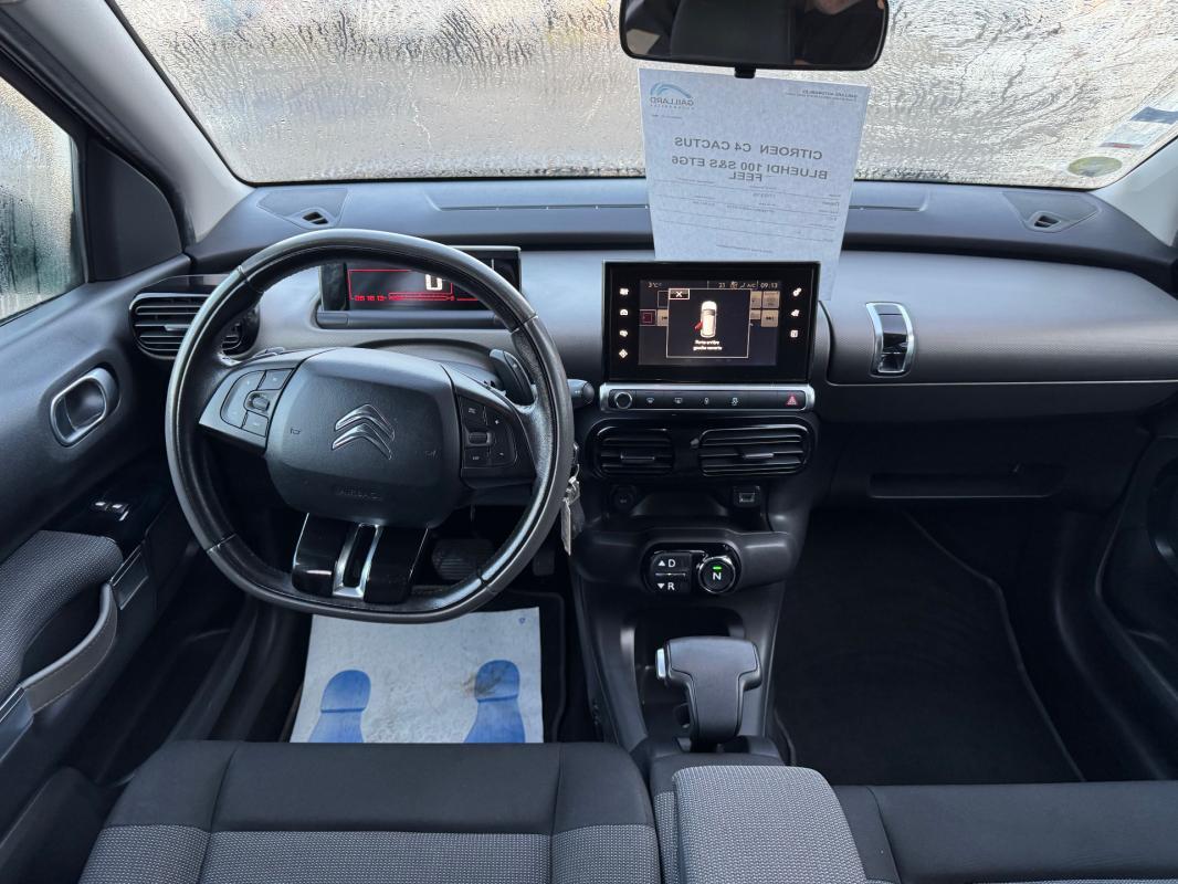 Citro&euml;n C4 Cactus BlueHDi 100 S&S ETG6 Shine